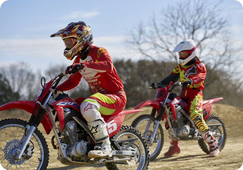 レディース プラン